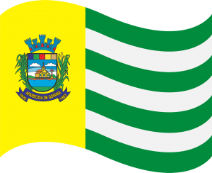 Logo Aparecida